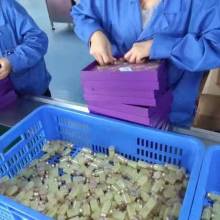 廣州捷美電子儀器廠 專業賦能美容院，打造科技美膚新體驗